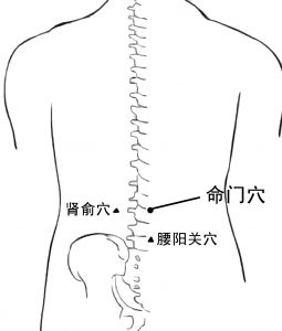 肾俞穴、命门穴、腰关阳