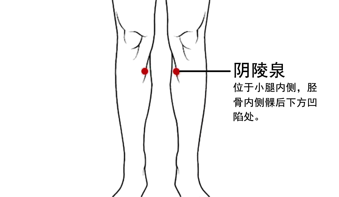 阴陵泉穴